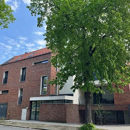 Sun Terrace Mini Penthouse Bestern Daire *