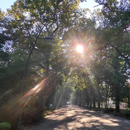 Sun Terrace Mini Penthouse Bestern * Σέγκεντ